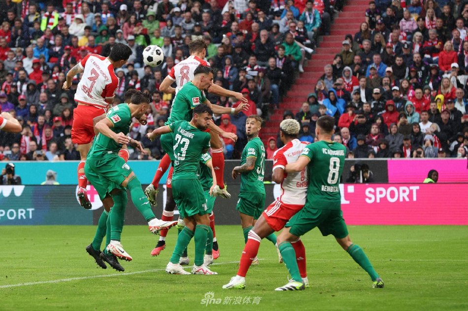 定因素再次 定因素再次